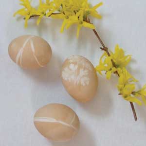 Coffee Dyed eggs with grass and flower designs and a branch of blooming forsythia