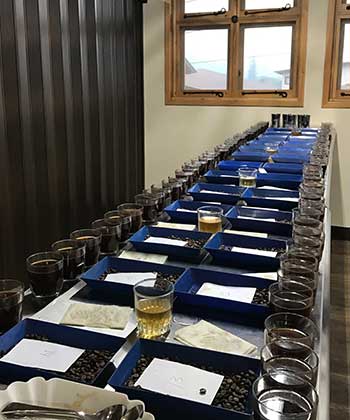 Image of cupping table at Finca Bella Vista on Spring 2017 Guatemala Coffee Buying Trip