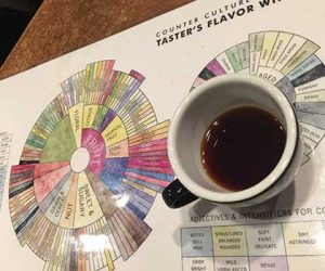 Coffee Cupping is a process coffee roasters like Ladro Roasting use to select new coffees or adjust a roast. The taster's flavor wheel helps cuppers to have a common language