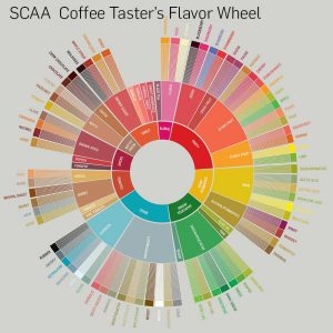 SCAA Flavor Wheel of coffee tasting notes